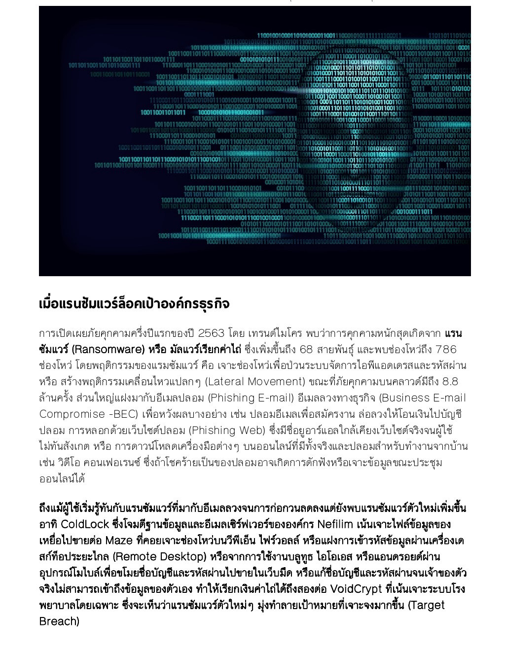 cyber salika 0002